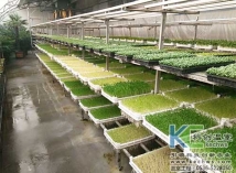 山西呂梁芽苗植物工廠(chǎng)
