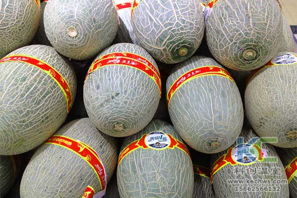無土栽培，無土栽培技術(shù)，無土栽培設(shè)備