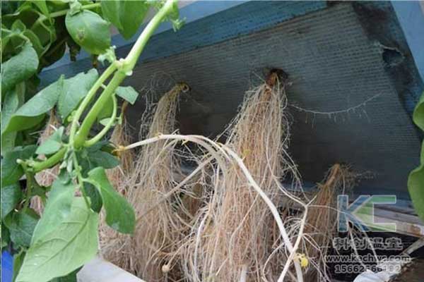 無(wú)土栽培，無(wú)土栽培技術(shù)，無(wú)土栽培設(shè)備