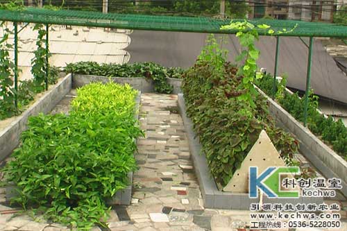 無土栽培，無土栽培技術(shù)，無土栽培設(shè)備